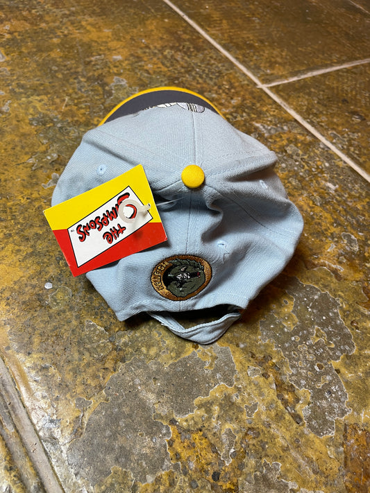 Vintage Simpsons Cap Gray Bart Nelson Deadstock 2002