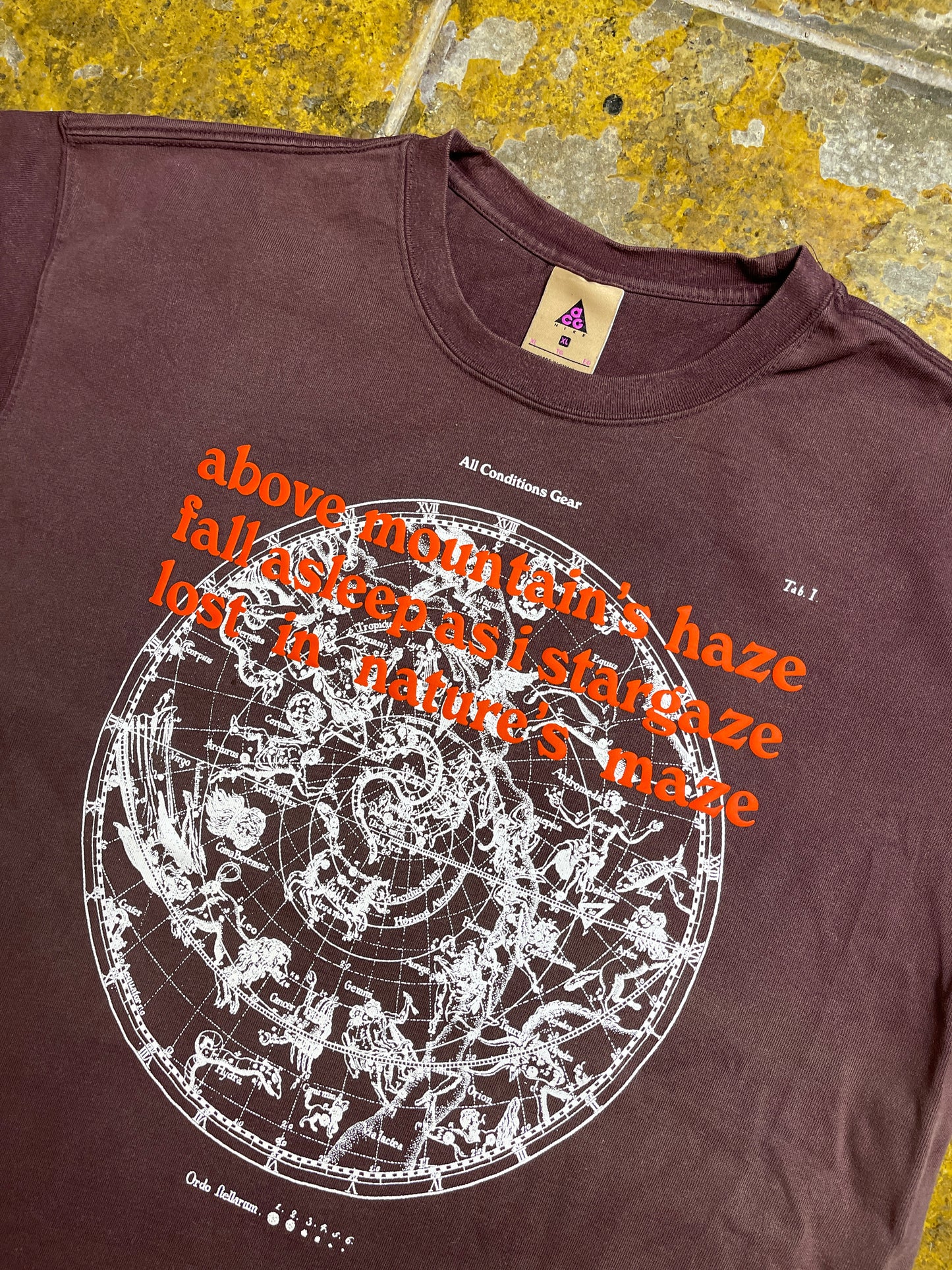Nike ACG Stargaze 2020 T-Shirt Bordeaux Brown - XL