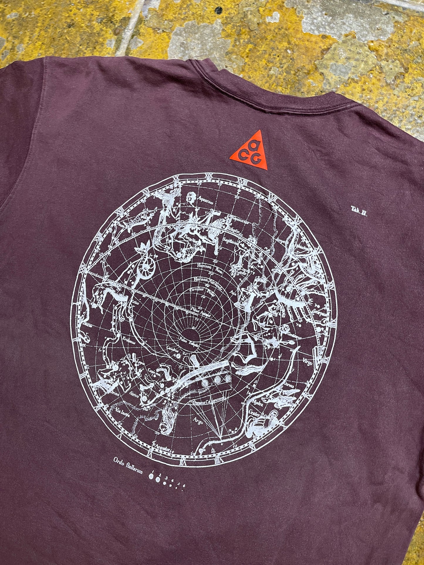 Nike ACG Stargaze 2020 T-Shirt Bordeaux Brown - XL