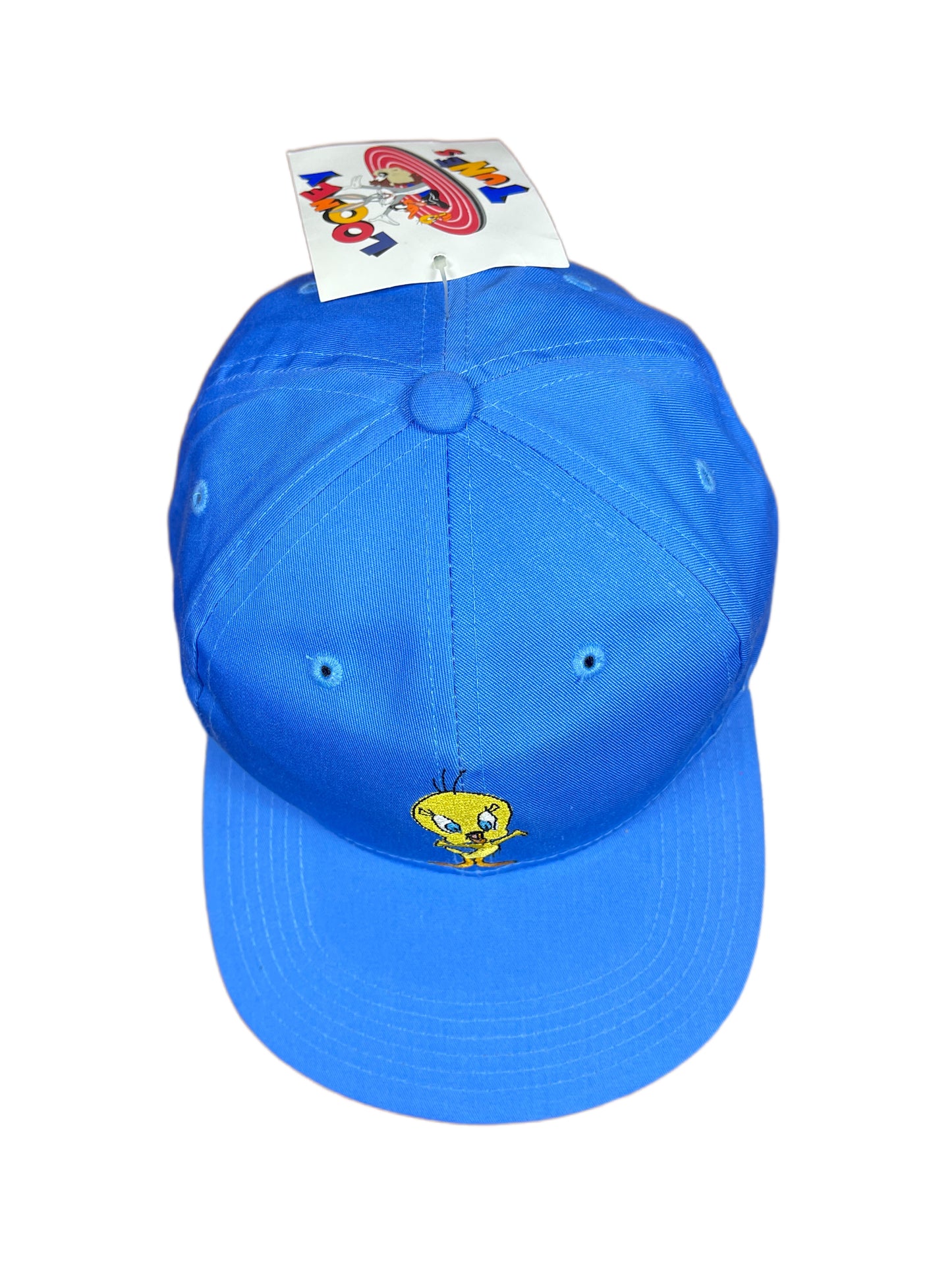 Vintage Tweety 1996 Looney Tunes Warner Bros Cap Blue