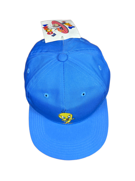 Vintage Tweety 1996 Looney Tunes Warner Bros Cap Blue