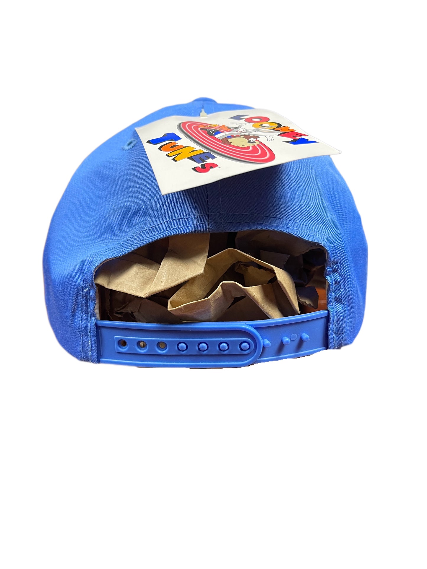 Vintage Tweety 1996 Looney Tunes Warner Bros Cap Blue