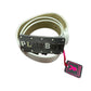 Y2k Playboy Belt White 2004