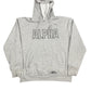 Y2k Alpha Industries Hoodie Gray - XL