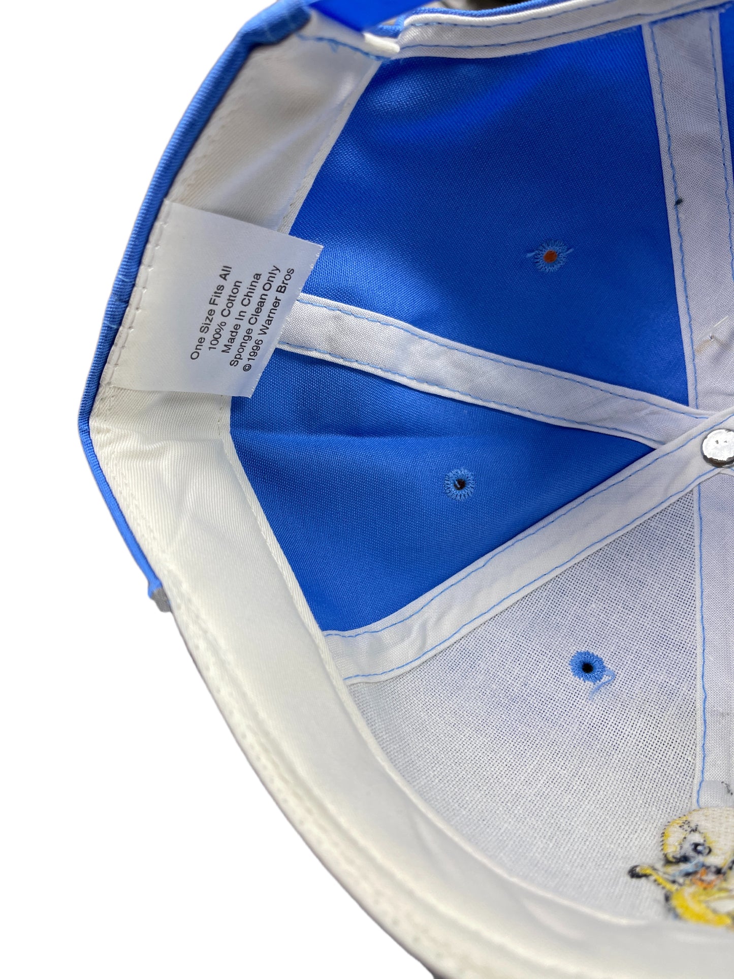 Vintage Tweety 1996 Looney Tunes Warner Bros Cap Blue