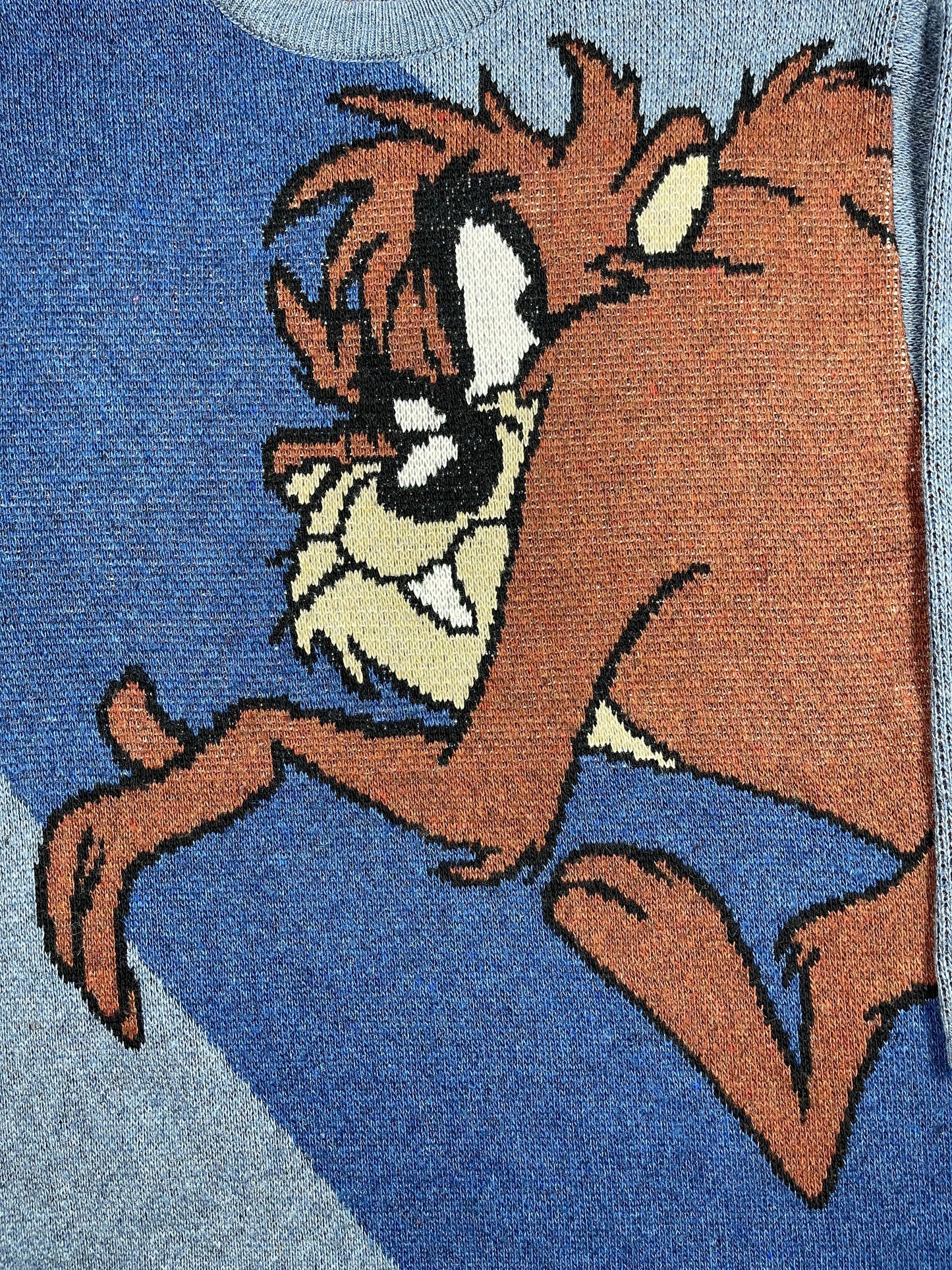 Vintage Looney Tunes 2004 Warner Bros Chunky Knitted Sweatshirt Blue Brown - L