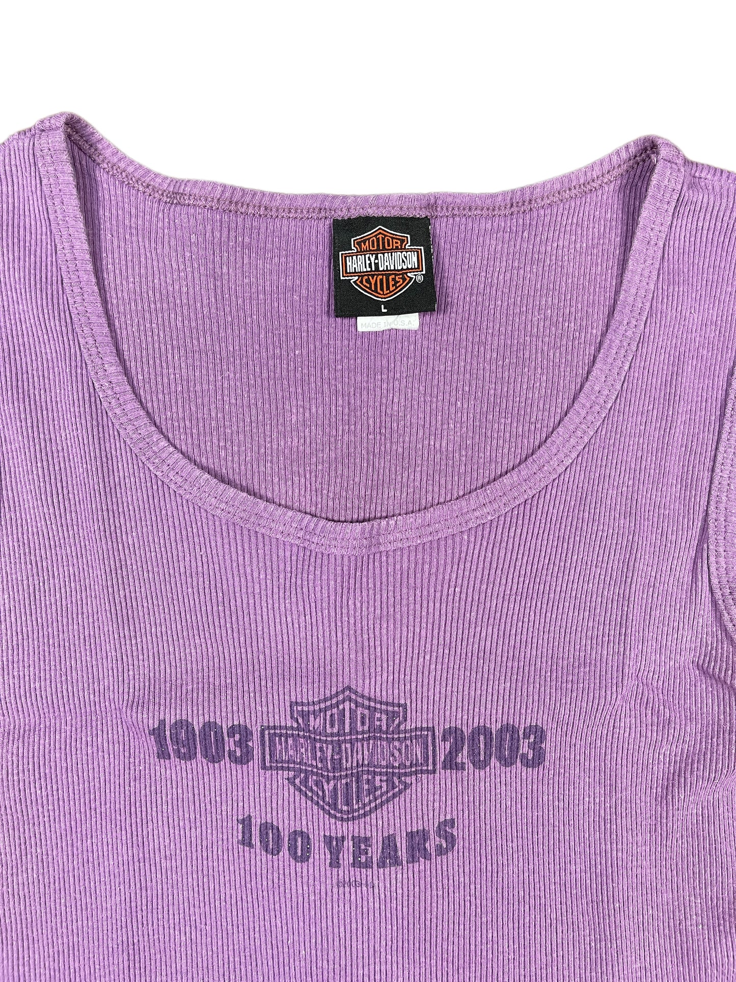 Vintage Harley Davidson Sleeveless Top Purple 2003 - L
