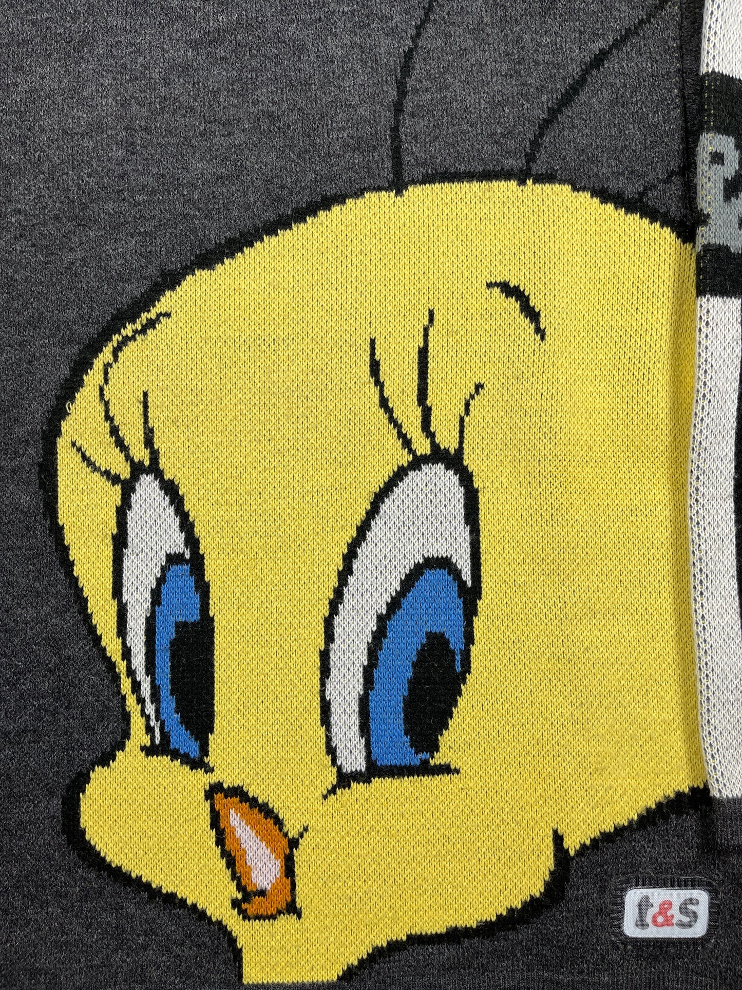 Vintage Looney Tunes 2000 Tweety Warner Bros Chunky Knitted Sweatshirt Gray - S
