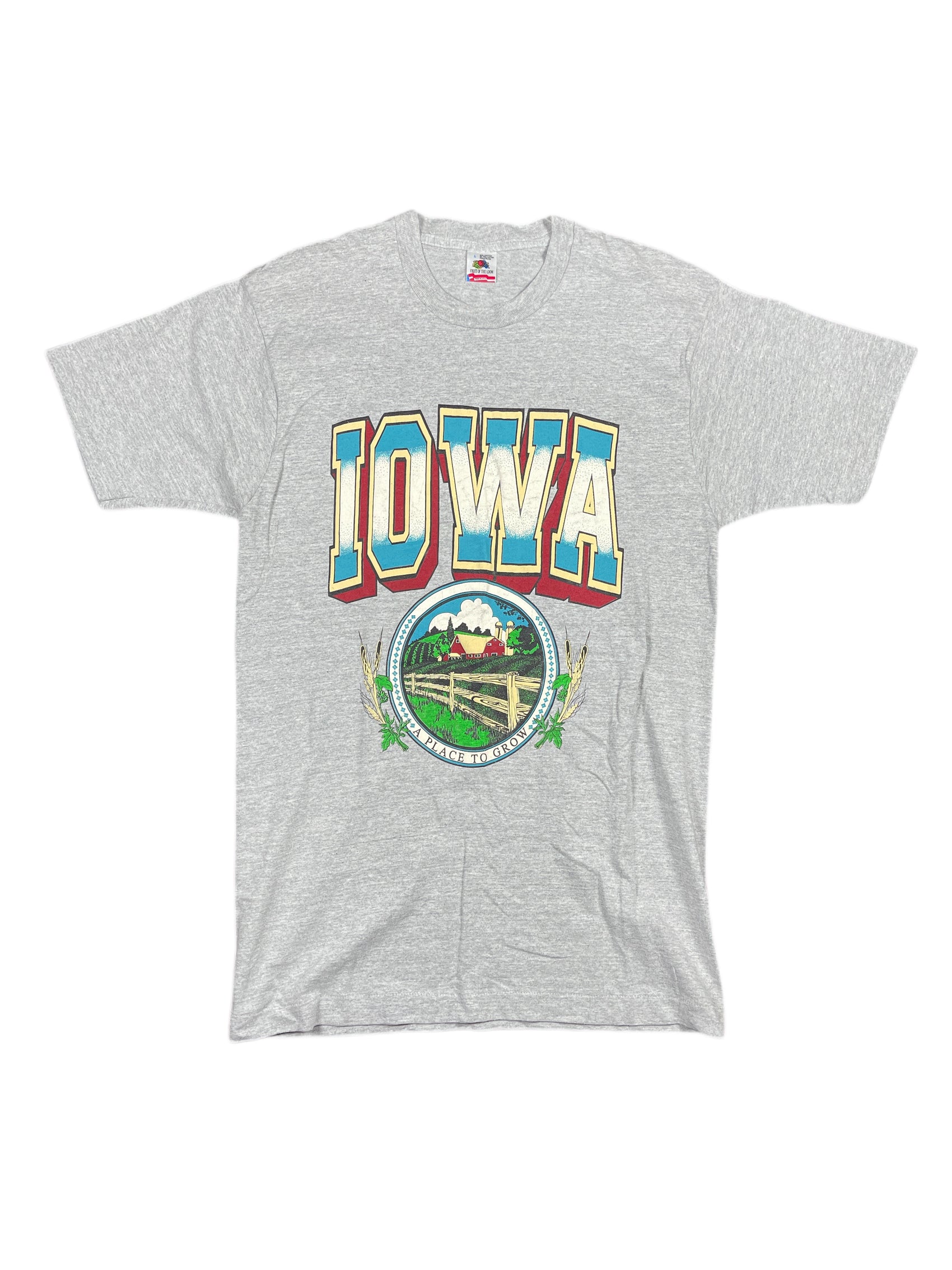 Vintage Fruit of the Loom Iowa T-Shirt Gray - L