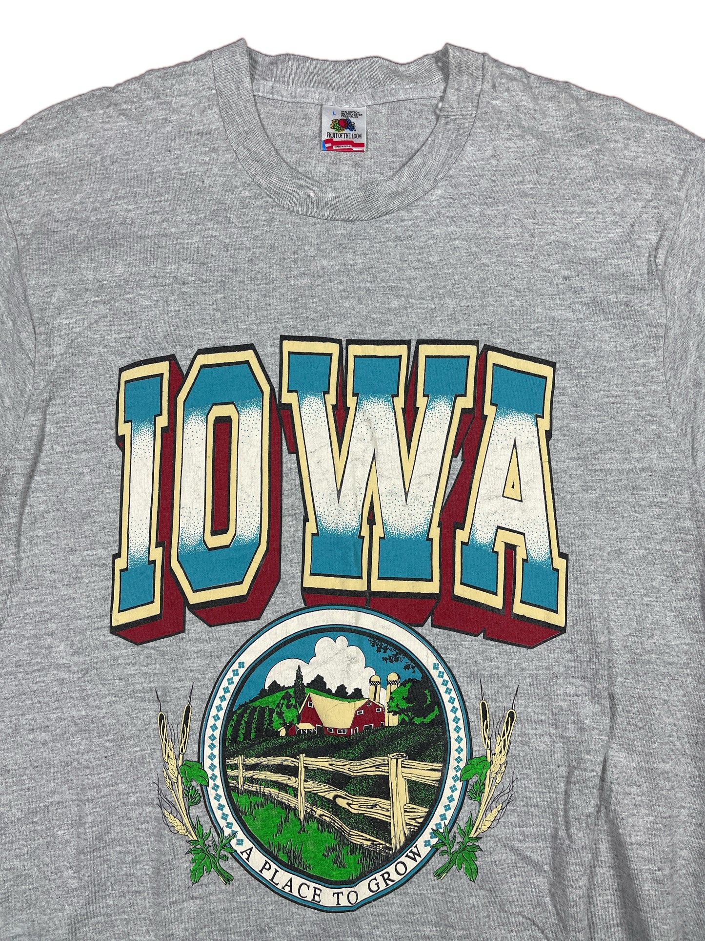 Vintage Fruit of the Loom Iowa T-Shirt Gray - L