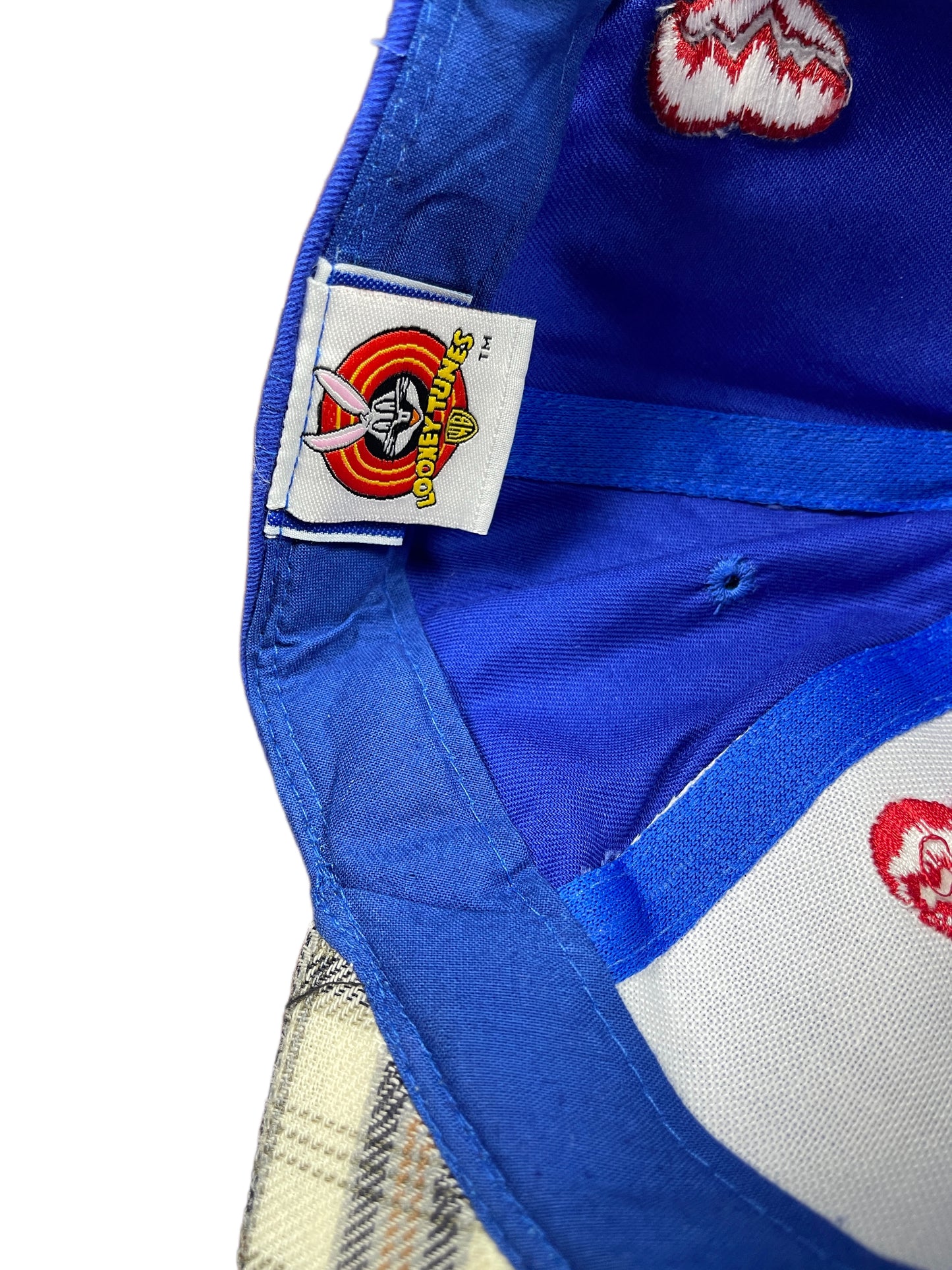 Vintage Tweety 1999 Looney Tunes Warner Bros Cap Blue