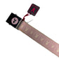Y2k Playboy Belt Rose 2004