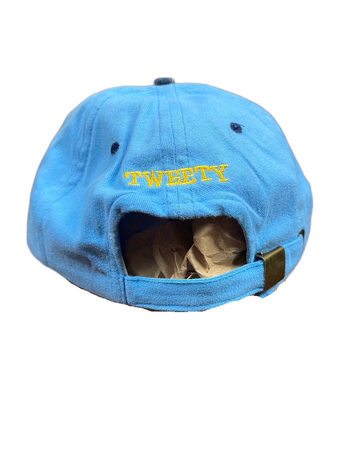 Vintage Tweety 1997 Warner Bros Looney Tunes Cap Blue