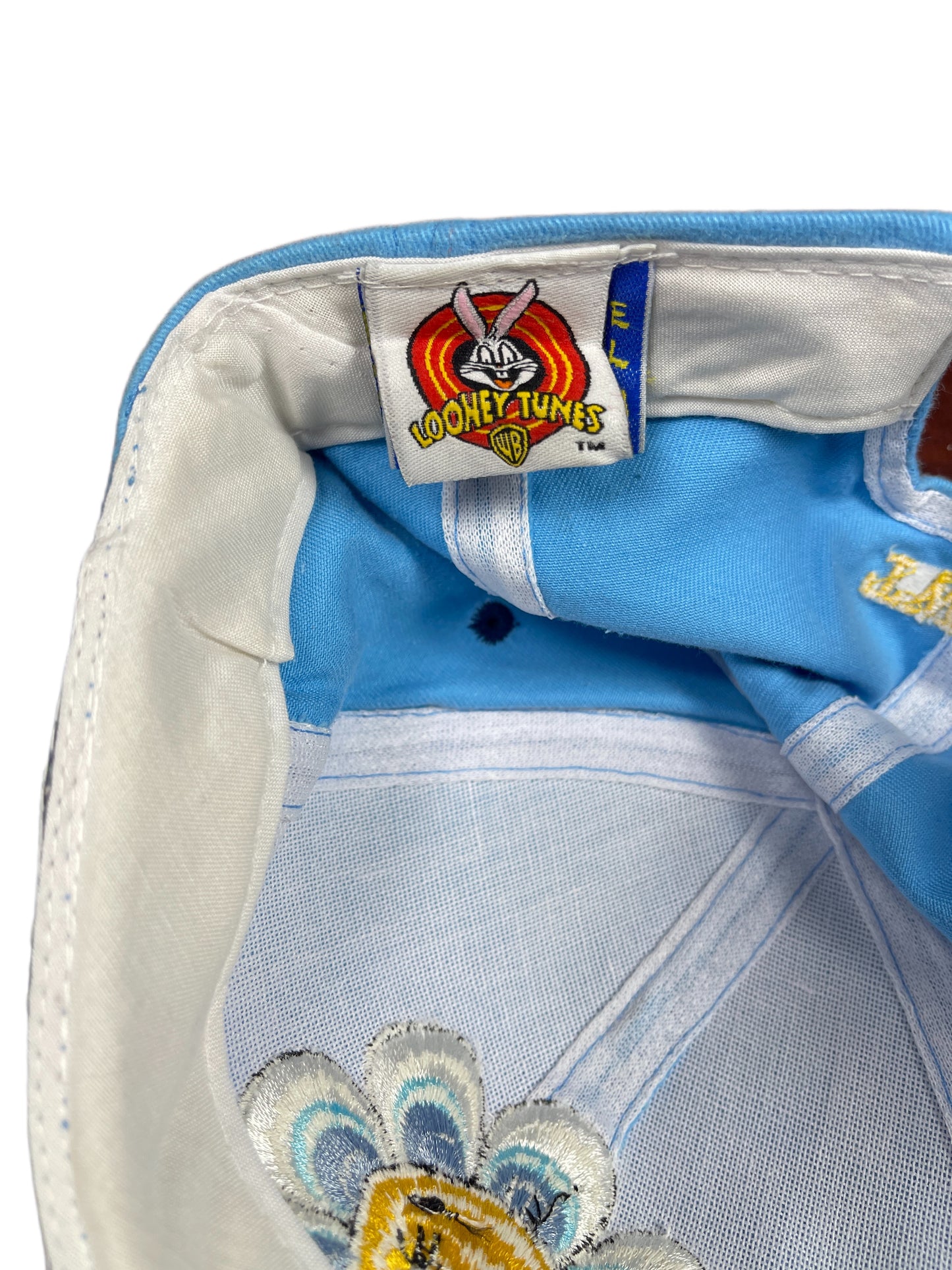 Vintage Tweety 1997 Warner Bros Looney Tunes Cap Blue