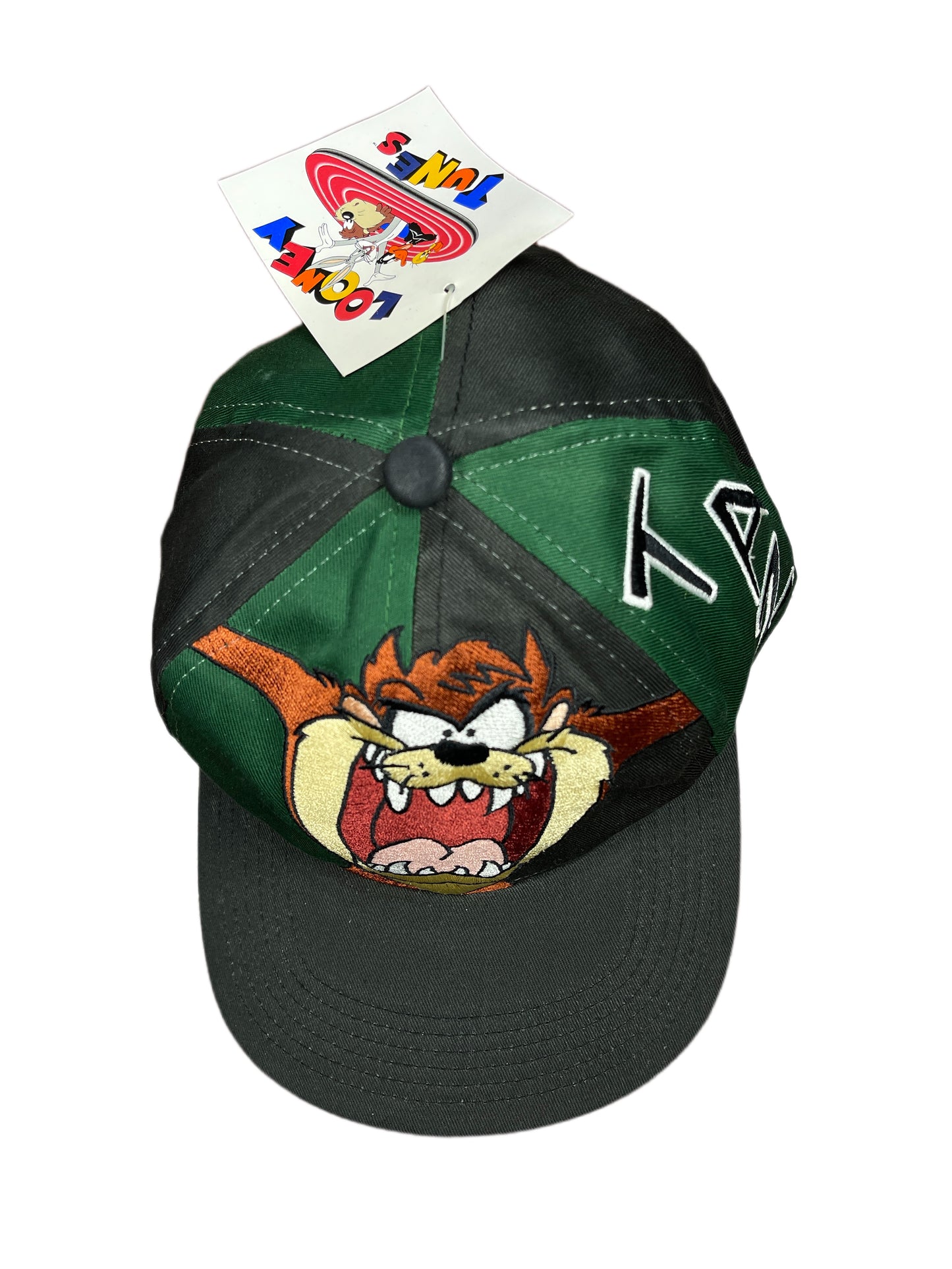 Vintage Warner Bros 1996 Tasmanian Devil TAZ Looney Tunes Cap Green Black