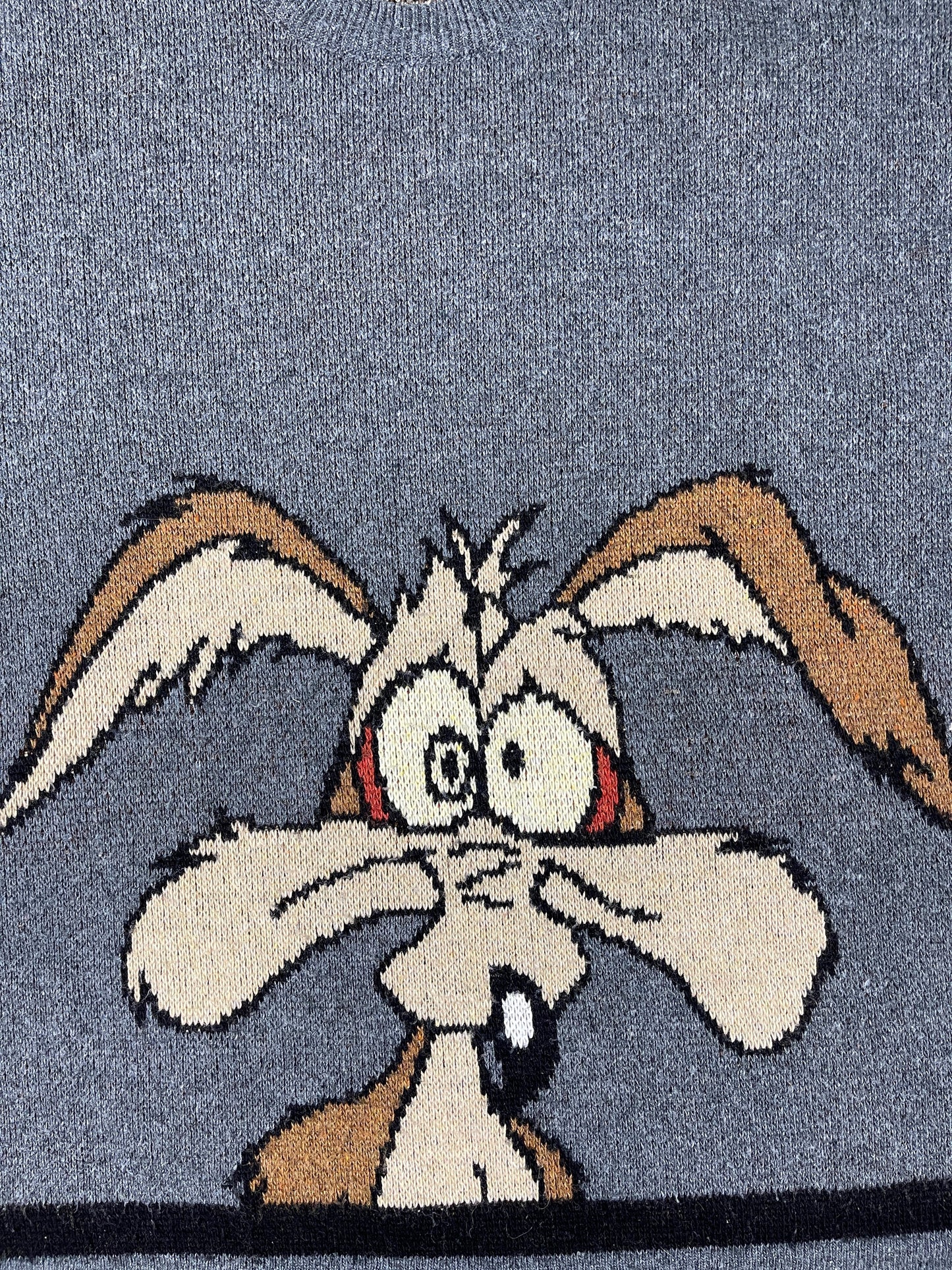 Vintage Looney Tunes 2003 Wile E. Coyote Knitted Sweatshirt Gray - L