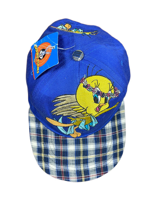 Vintage Tweety 1999 Looney Tunes Warner Bros Cap Blue