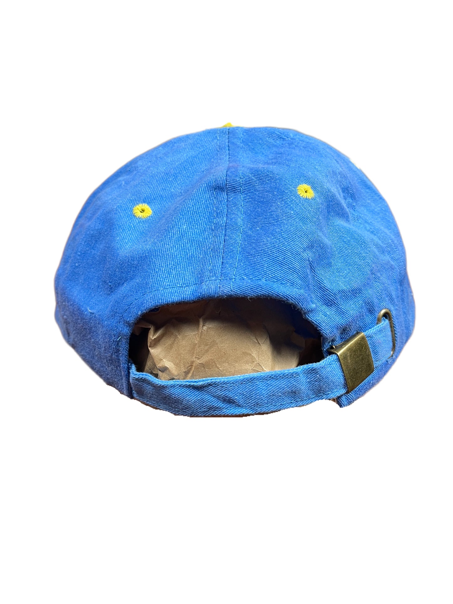 Vintage Tweety 1997 Looney Tunes Warner Bros Cap Blue Yellow