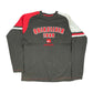 Y2k Quicksilver Thin Sweatshirt Brown - L