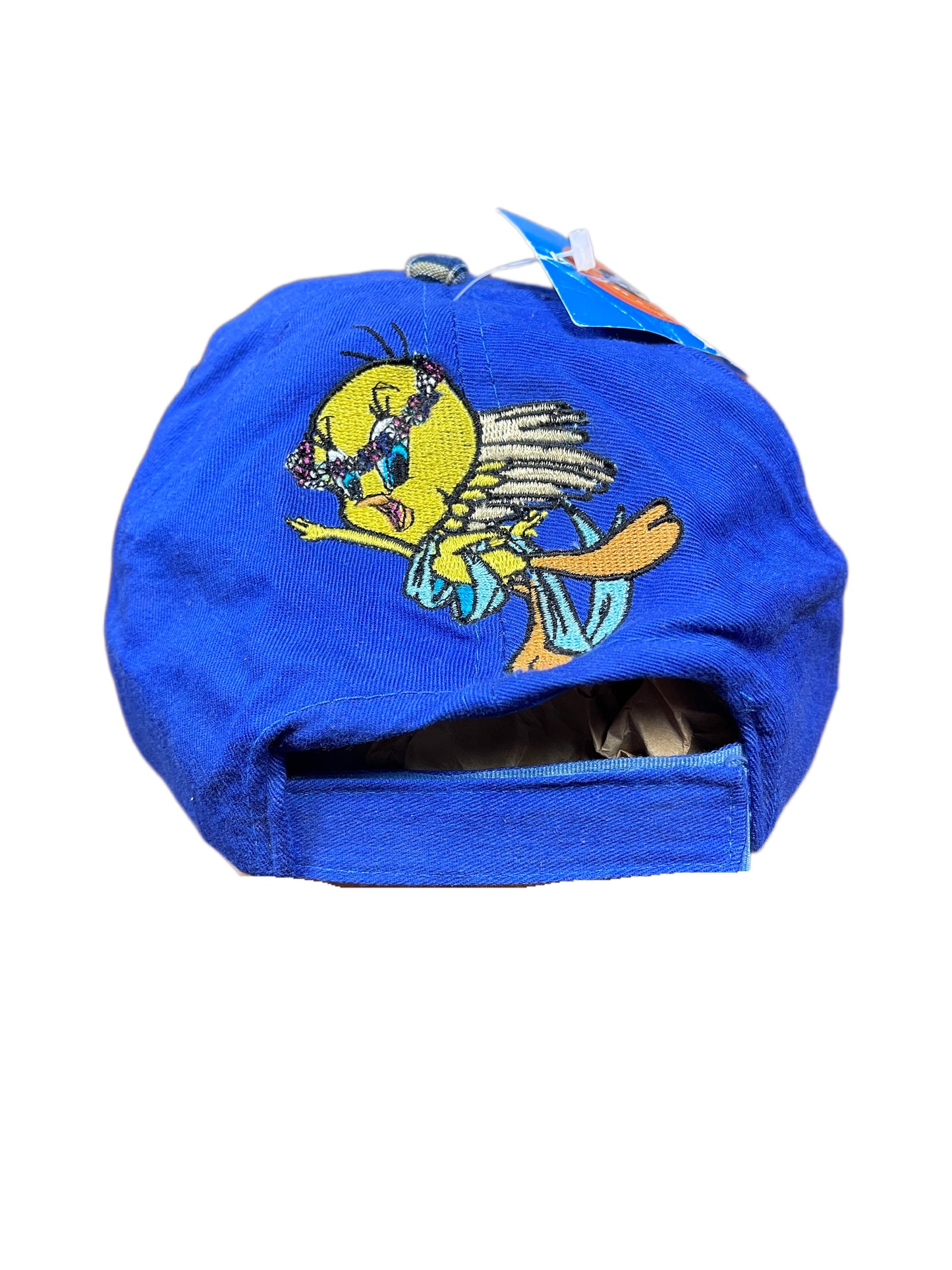 Vintage Tweety 1999 Looney Tunes Warner Bros Cap Blue