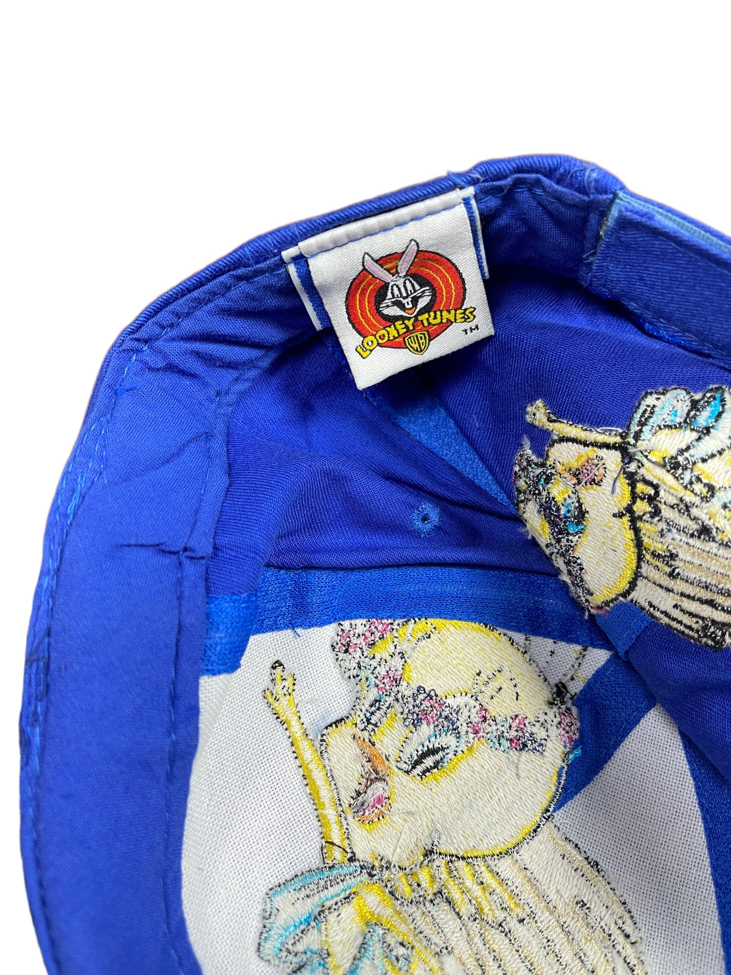 Vintage Tweety 1999 Looney Tunes Warner Bros Cap Blue