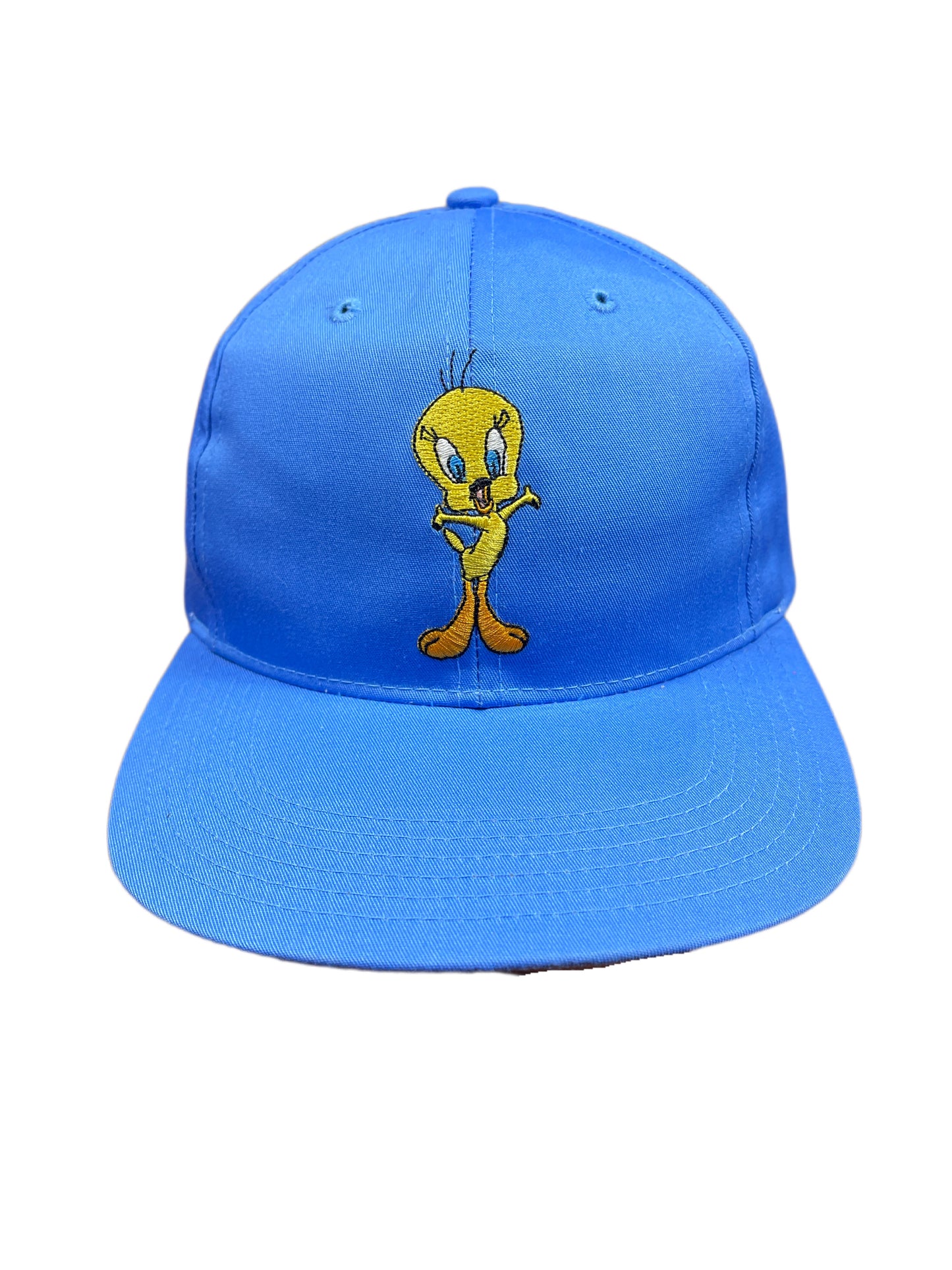 Vintage Tweety 1996 Looney Tunes Warner Bros Cap Blue